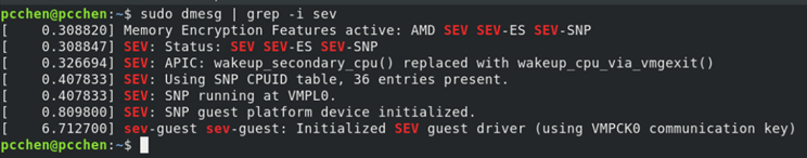 Check SEV-SNP in guest OS